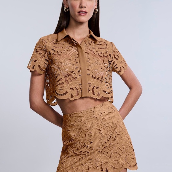Eyelet Button Down Polo size 4 in brown sugar